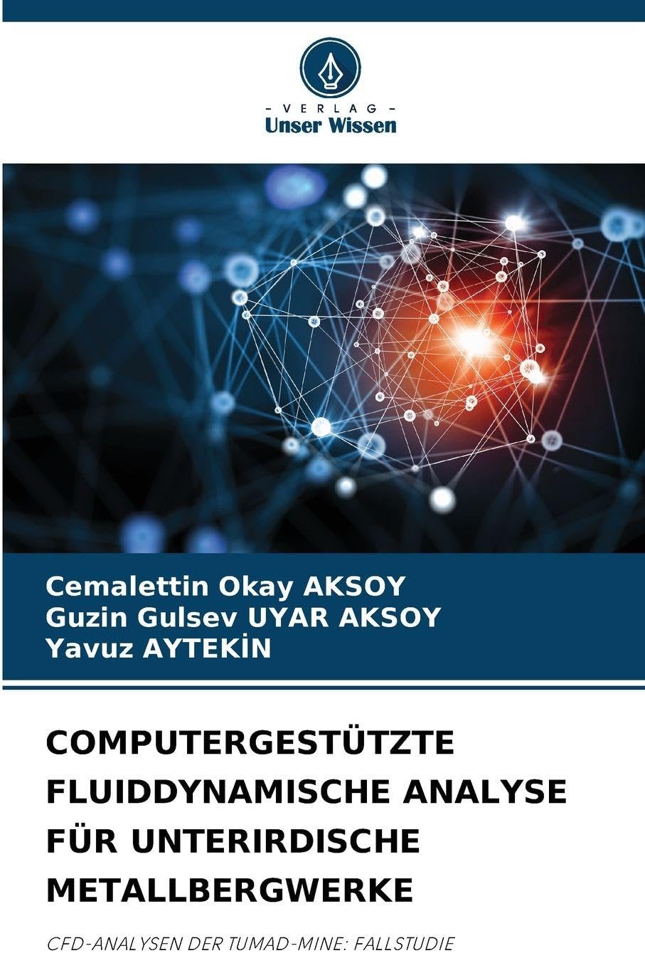 COMPUTERGESTÜTZTE FLUIDDYNAMISCHE ANALYSE FÜR UNTERIRDISCHE METALLBERGWERKE Natural Sciences
