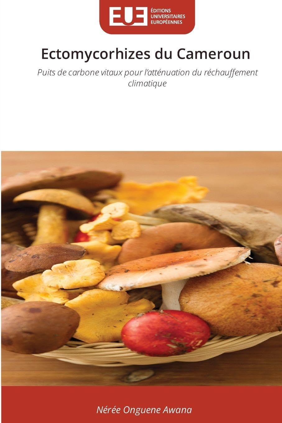 Ectomycorhizes du Cameroun Natural Sciences