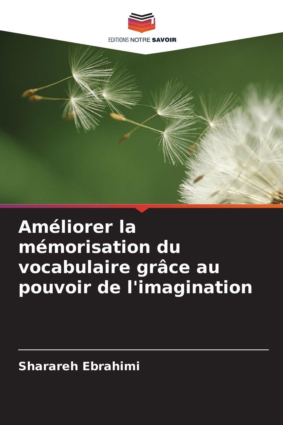 Améliorer la mémorisation du vocabulaire grâce au pouvoir de l'imagination Social Sciences