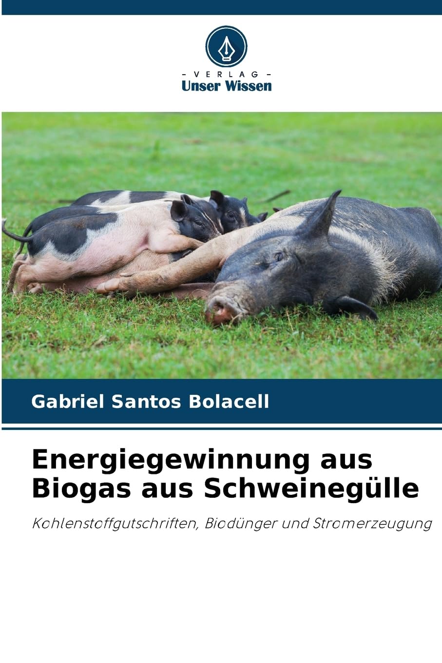 Energiegewinnung aus Biogas aus Schweinegülle Arts & Music