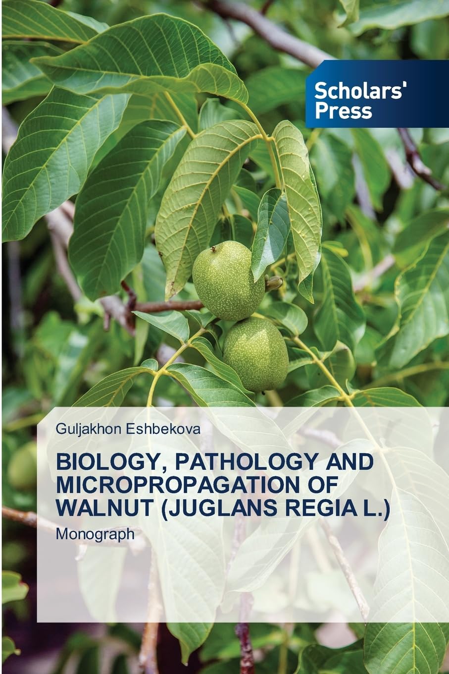 BIOLOGY, PATHOLOGY AND MICROPROPAGATION OF WALNUT (JUGLANS REGIA L.) Natural Sciences