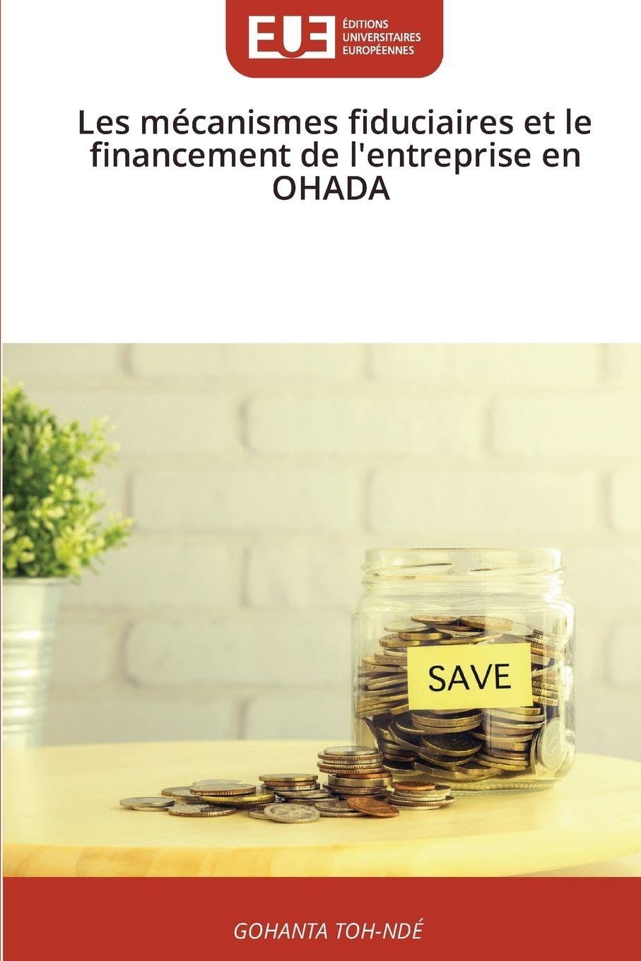 Les mécanismes fiduciaires et le financement de l'entreprise en OHADA Law
