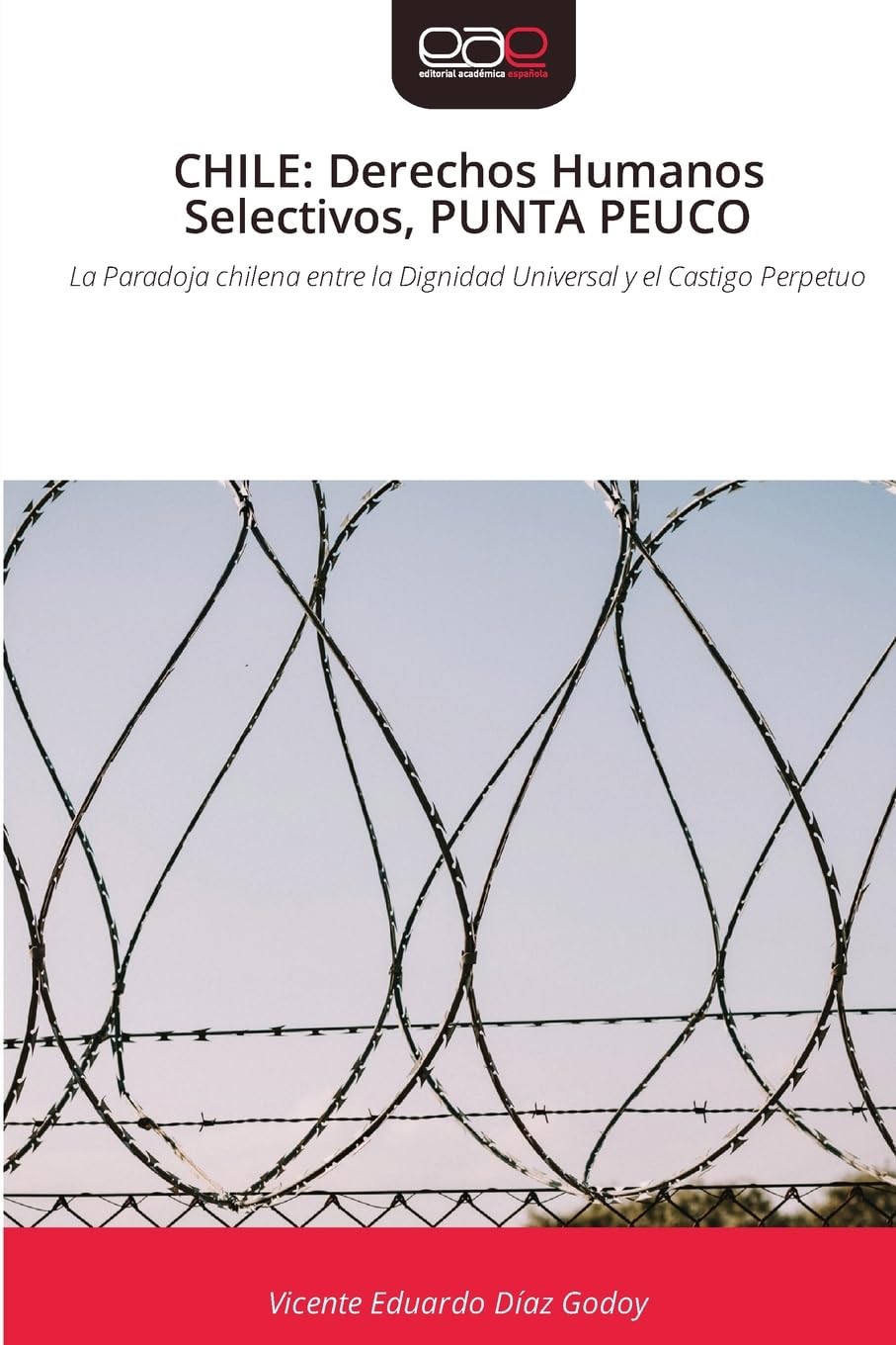 CHILE: Derechos Humanos Selectivos, PUNTA PEUCO Law