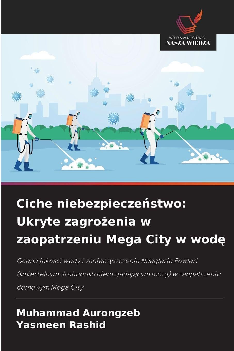 Ciche niebezpiecze¿stwo: Ukryte zagro¿enia w zaopatrzeniu Mega City w wod¿ Natural Sciences