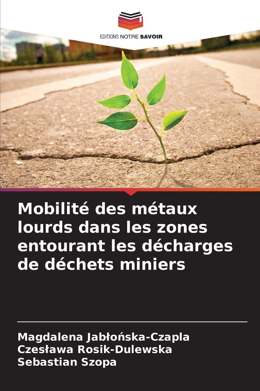 Mobilité des métaux lourds dans les zones entourant les décharges de déchets miniers Law