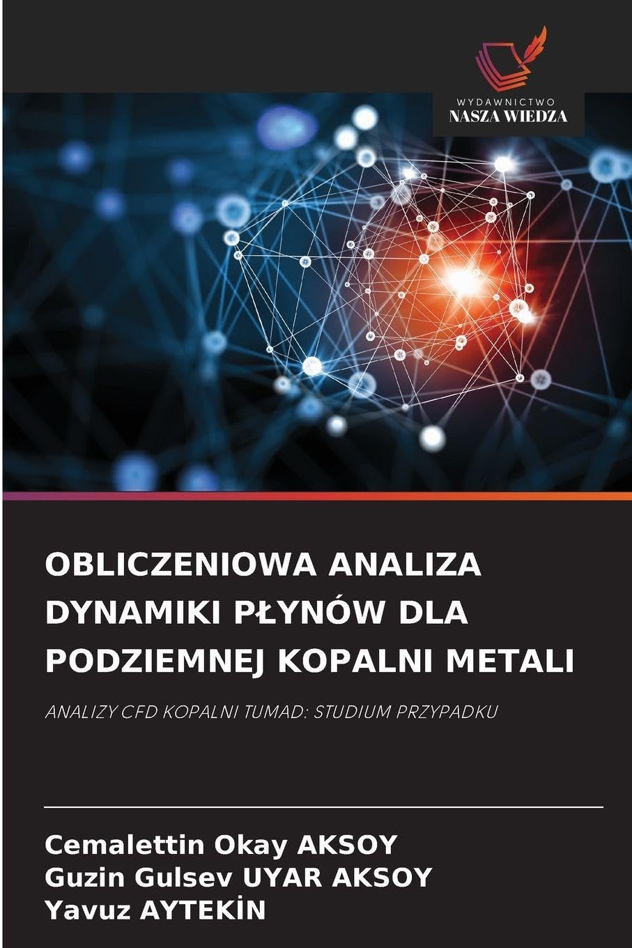 OBLICZENIOWA ANALIZA DYNAMIKI P¿YNÓW DLA PODZIEMNEJ KOPALNI METALI Natural Sciences