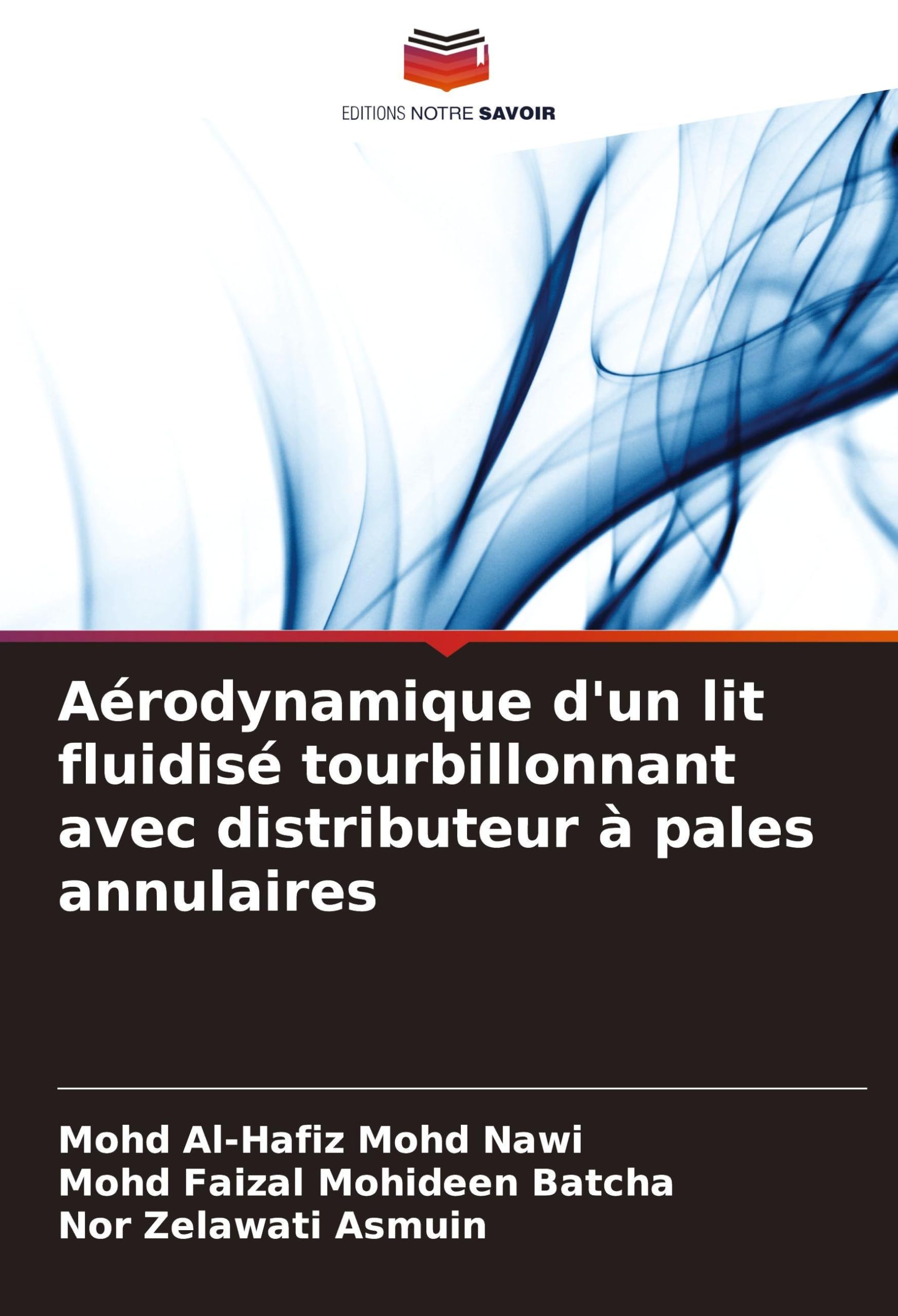 Aérodynamique d'un lit fluidisé tourbillonnant avec distributeur à pales annulaires Business & Technology
