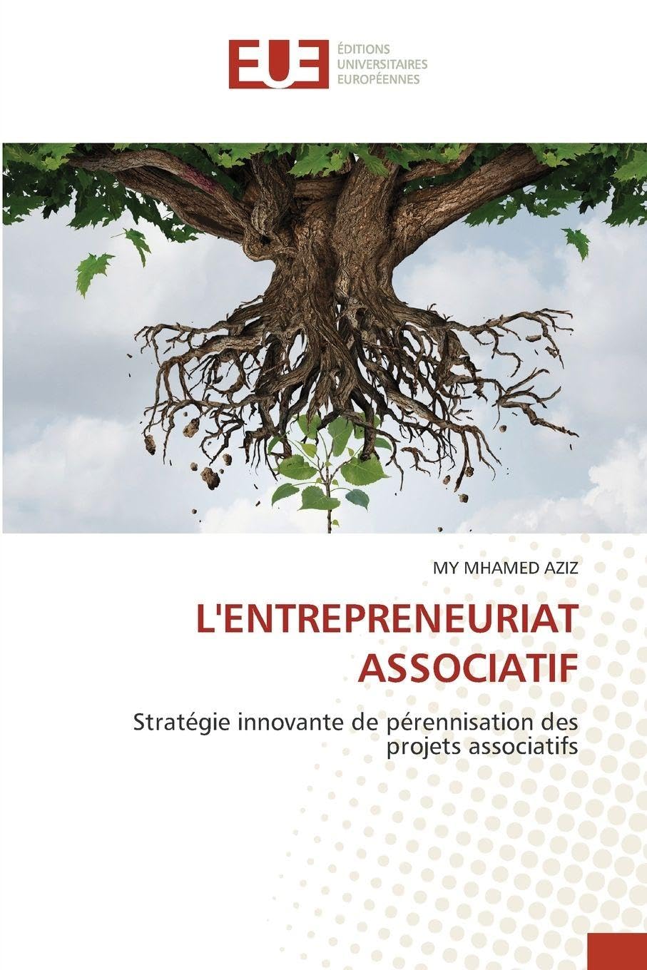 L'ENTREPRENEURIAT ASSOCIATIF Law
