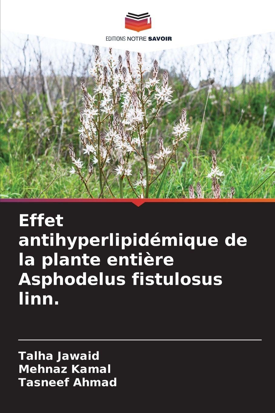 Effet antihyperlipidémique de la plante entière Asphodelus fistulosus linn. Medicine