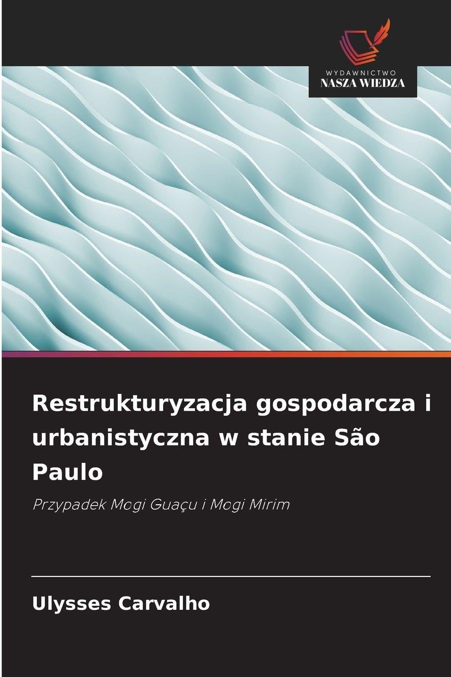 Restrukturyzacja gospodarcza i urbanistyczna w stanie São Paulo Architecture