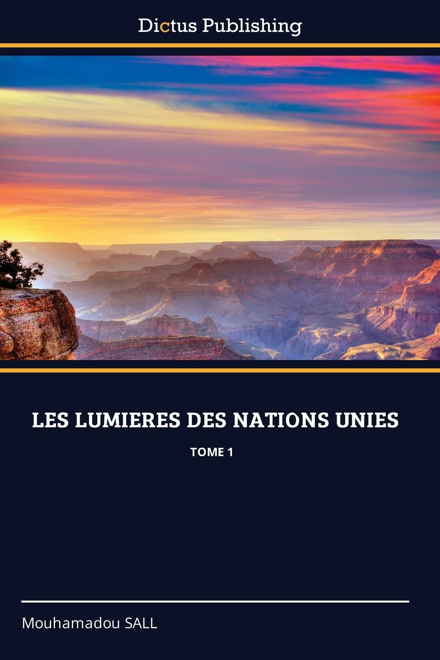 LES LUMIERES DES NATIONS UNIES: TOME 1 Law