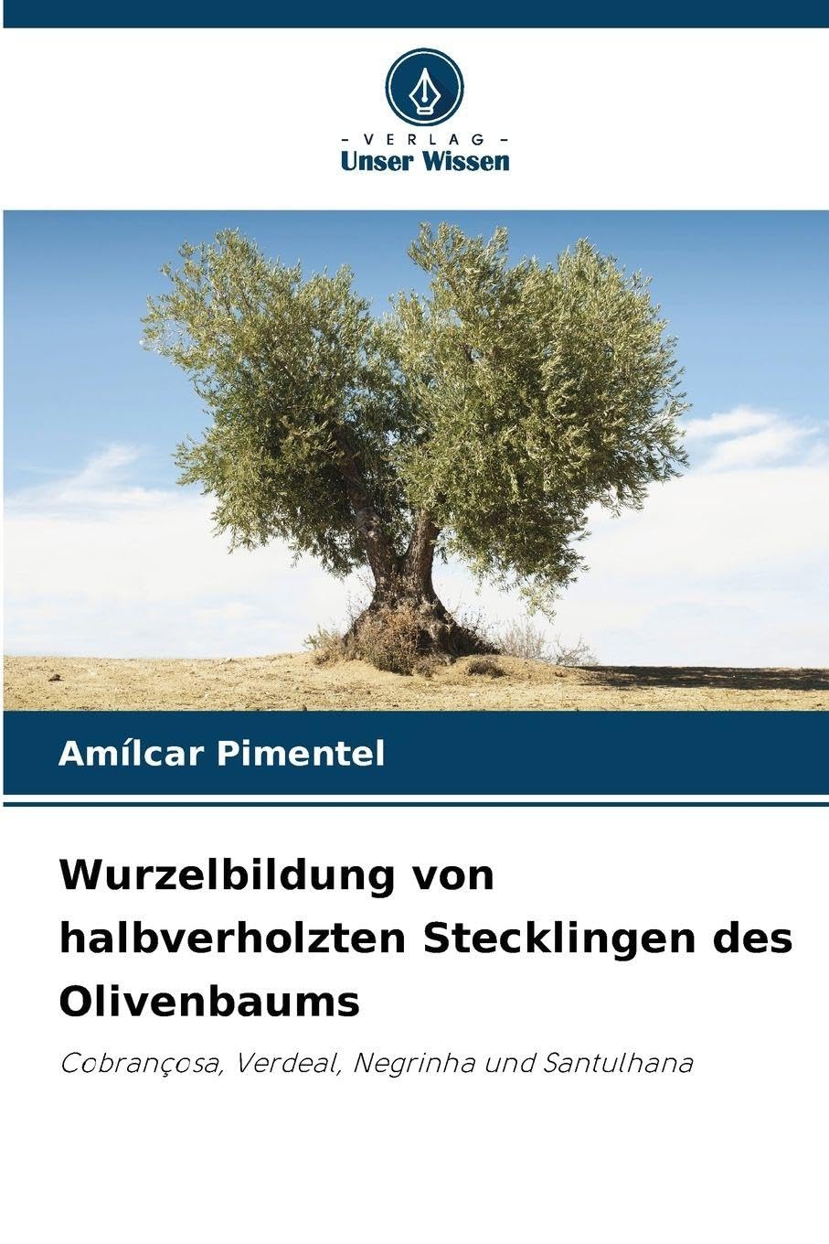 Wurzelbildung von halbverholzten Stecklingen des Olivenbaums Media & Communication
