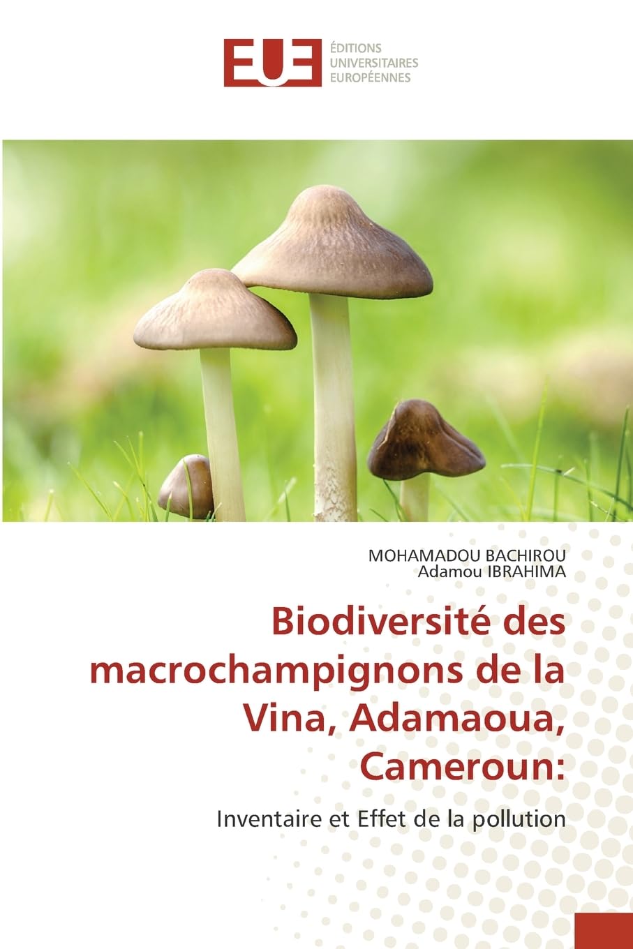 Biodiversité des macrochampignons de la Vina, Adamaoua, Cameroun: Natural Sciences
