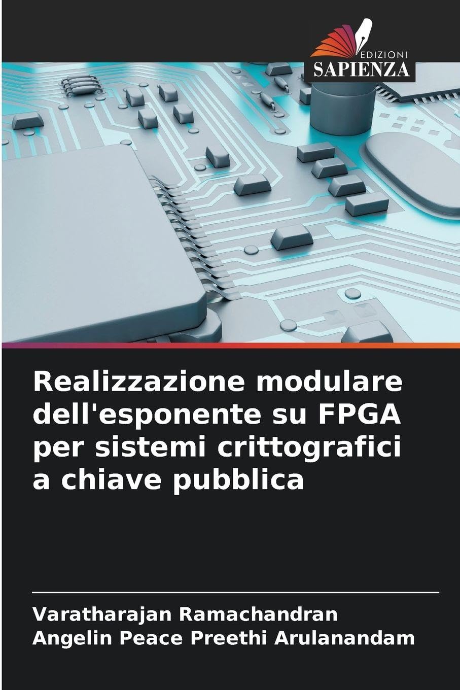 Realizzazione modulare dell'esponente su FPGA per sistemi crittografici a chiave pubblica Business & Technology