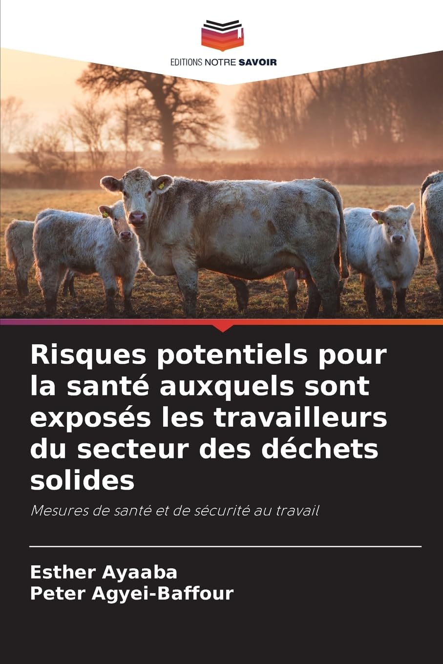 Risques potentiels pour la santé auxquels sont exposés les travailleurs du secteur des déchets solides Law