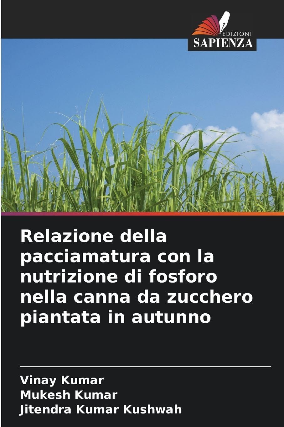 Relazione della pacciamatura con la nutrizione di fosforo nella canna da zucchero piantata in autunno Natural Sciences