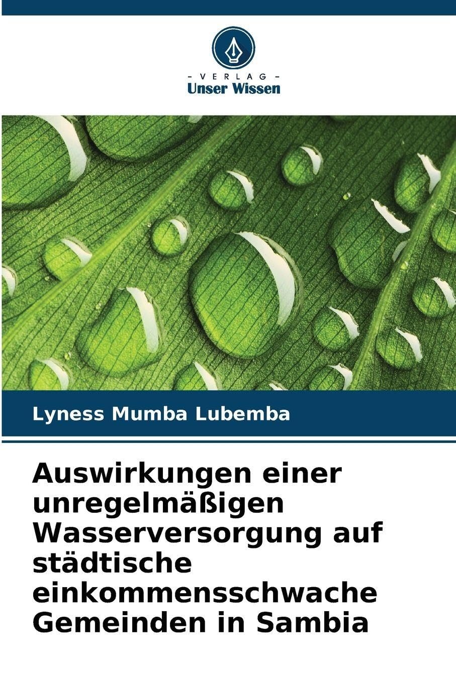 Auswirkungen einer unregelmäßigen Wasserversorgung auf städtische einkommensschwache Gemeinden in Sambia Books