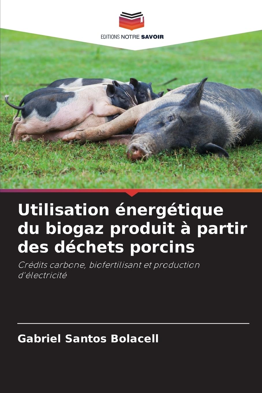 Utilisation énergétique du biogaz produit à partir des déchets porcins Arts & Music
