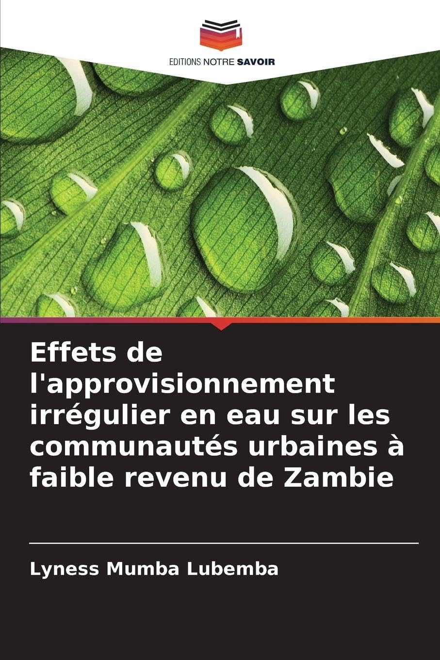 Effets de l'approvisionnement irrégulier en eau sur les communautés urbaines à faible revenu de Zambie Books