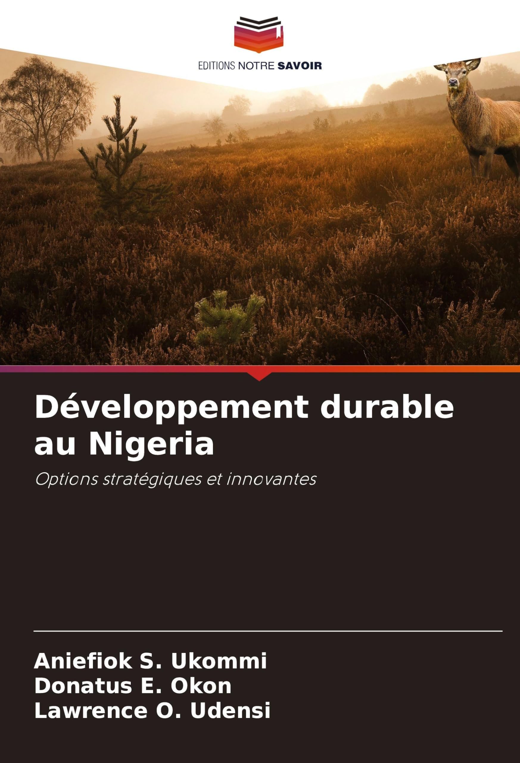 Développement durable au Nigeria Law