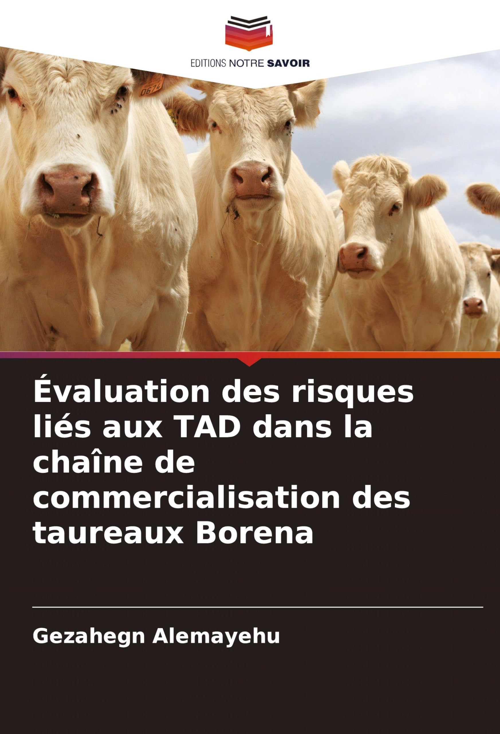 Évaluation des risques liés aux TAD dans la chaîne de commercialisation des taureaux Borena Medicine
