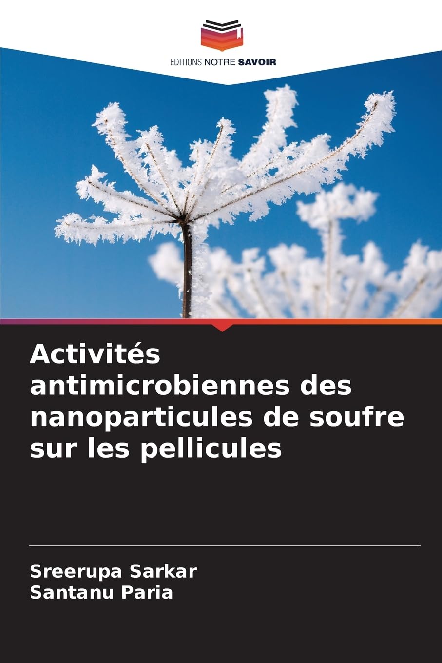 Activités antimicrobiennes des nanoparticules de soufre sur les pellicules Natural Sciences