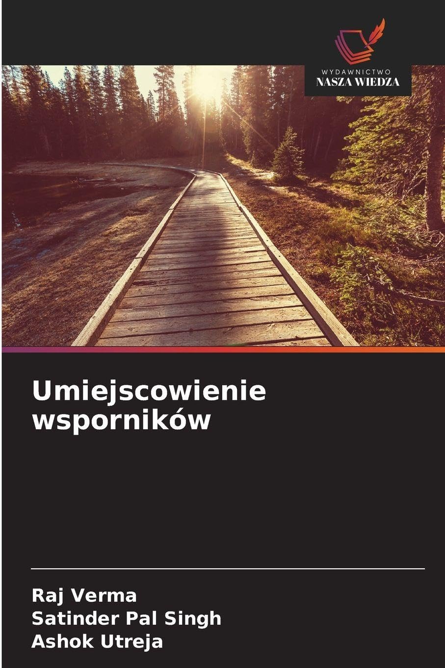 Umiejscowienie wsporników Medicine