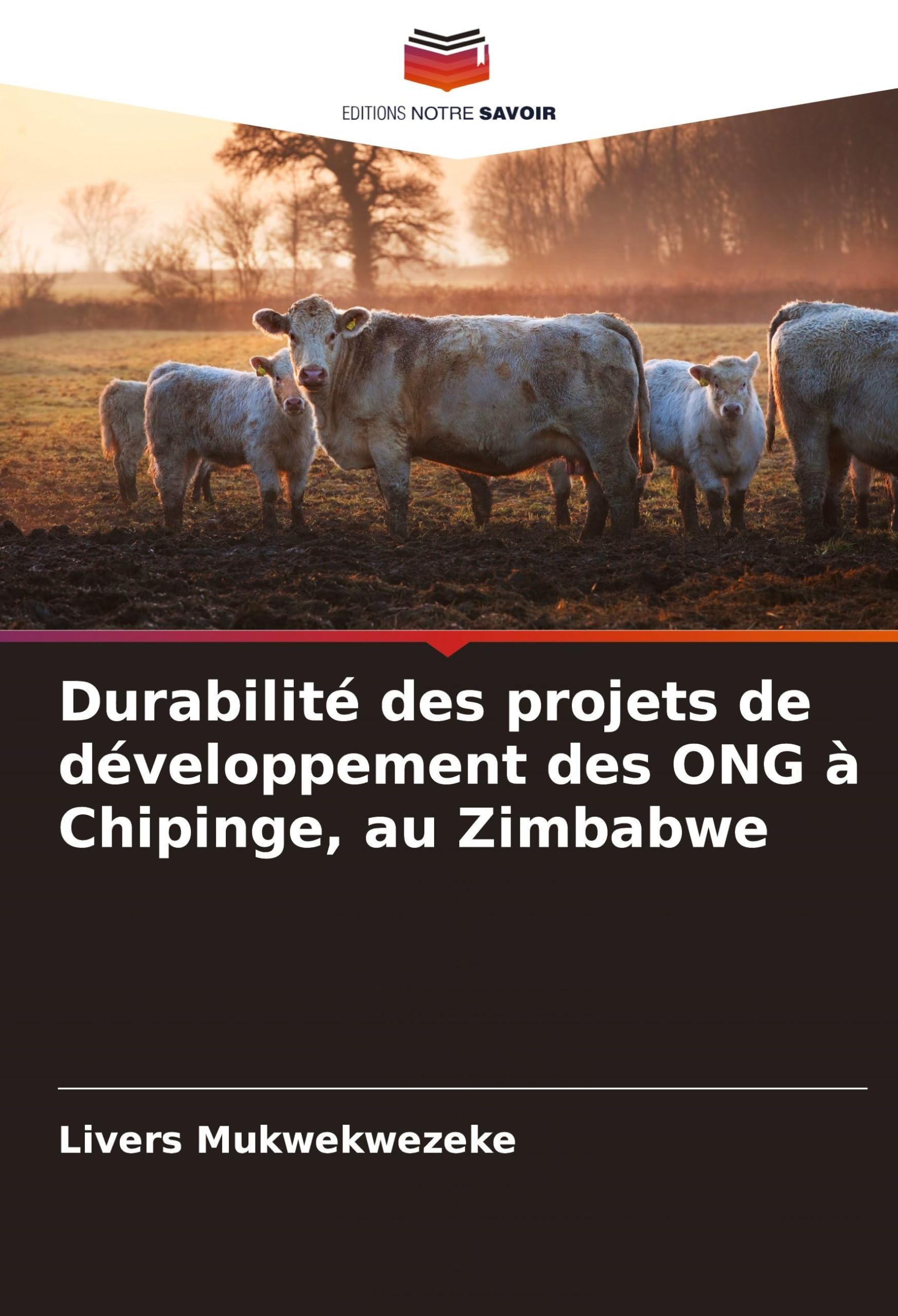 Durabilité des projets de développement des ONG à Chipinge, au Zimbabwe Law