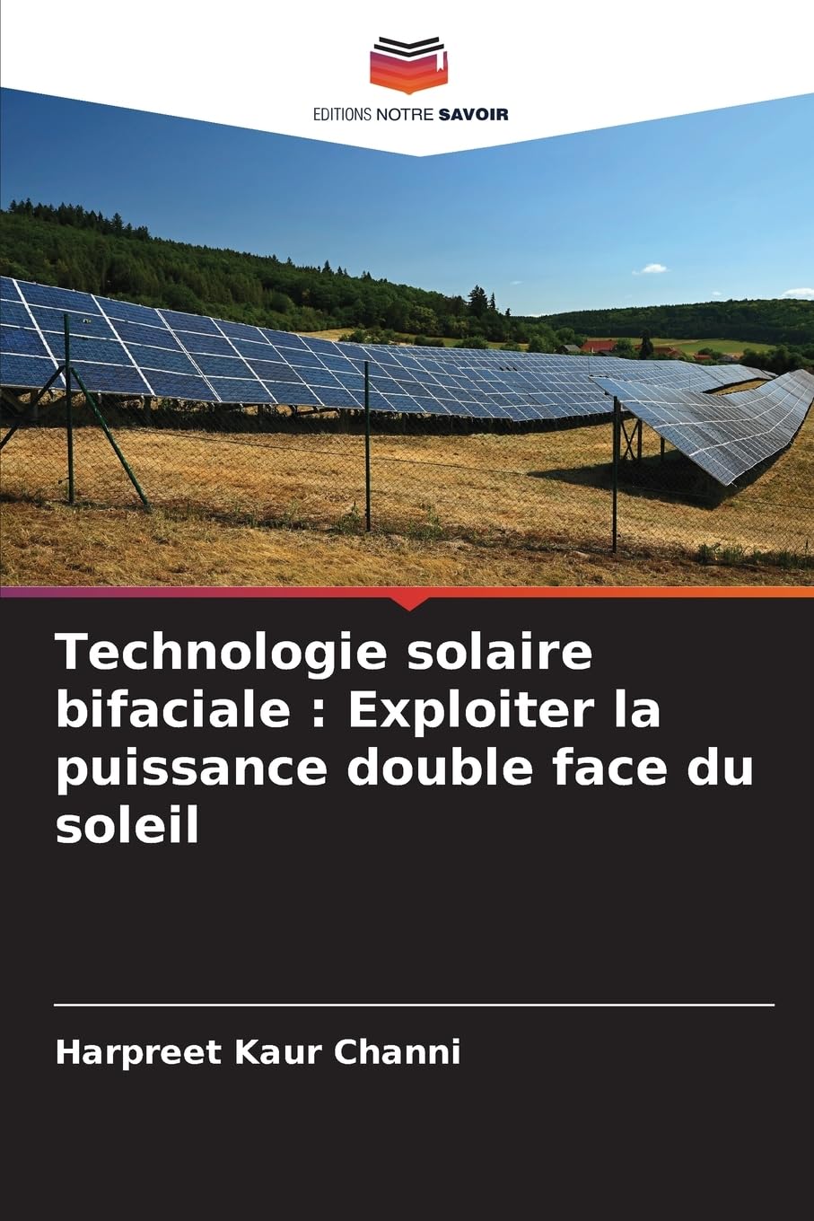 Technologie solaire bifaciale : Exploiter la puissance double face du soleil Business & Technology