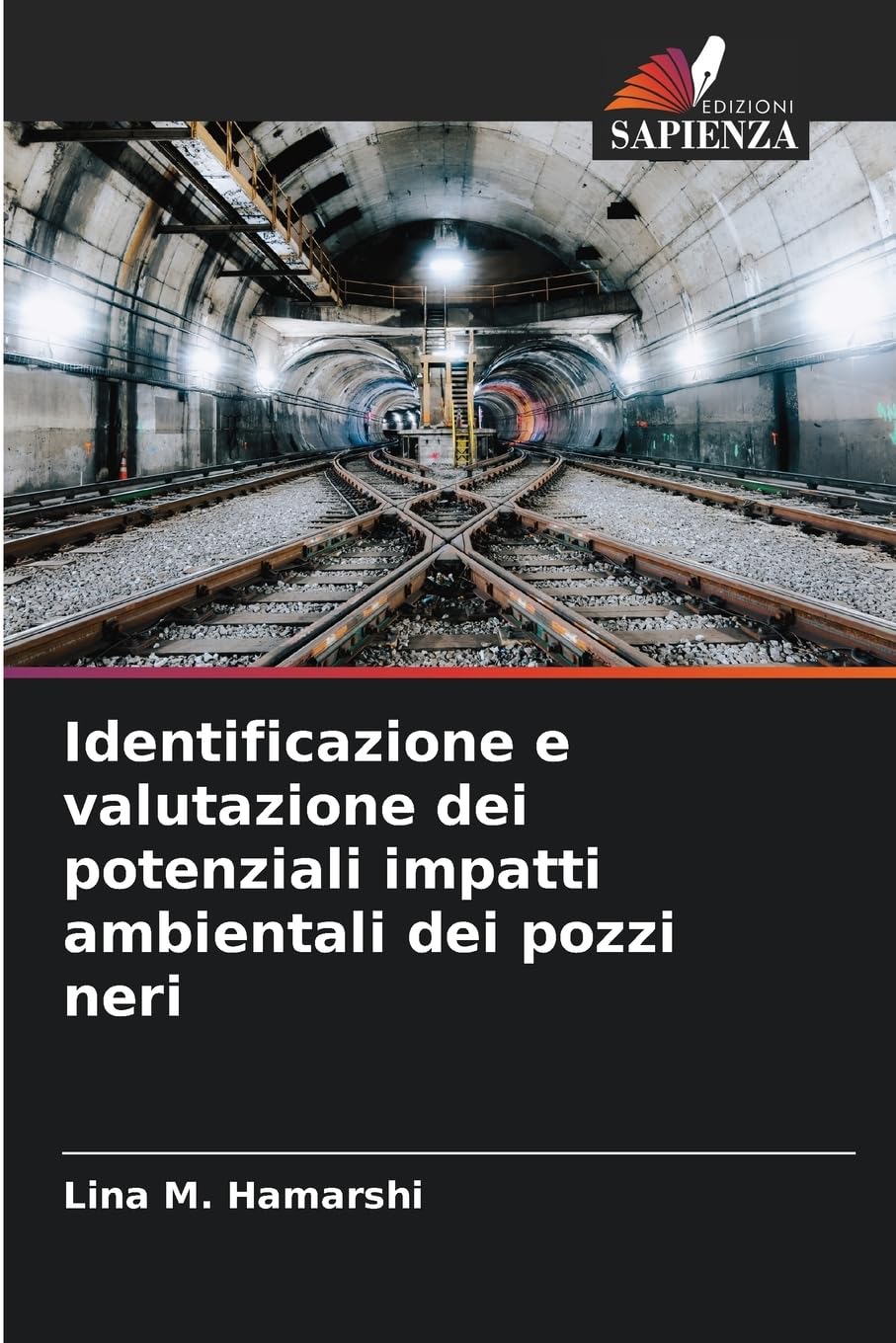 Identificazione e valutazione dei potenziali impatti ambientali dei pozzi neri Natural Sciences