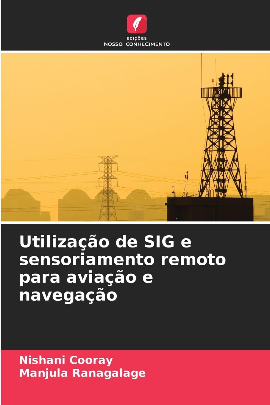 Utilização de SIG e sensoriamento remoto para aviação e navegação Business & Technology