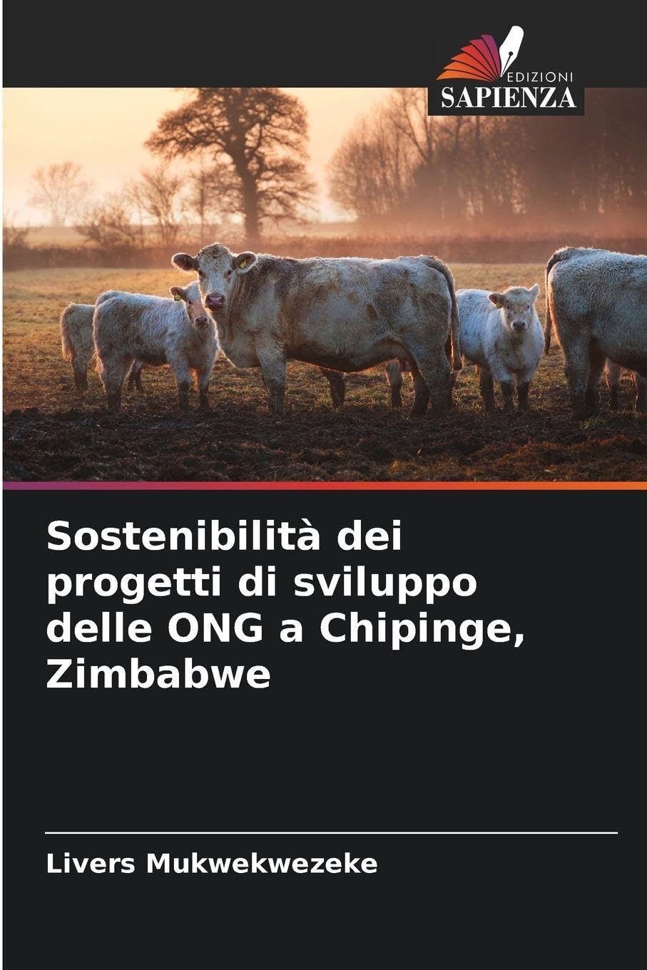 Sostenibilità dei progetti di sviluppo delle ONG a Chipinge, Zimbabwe Law