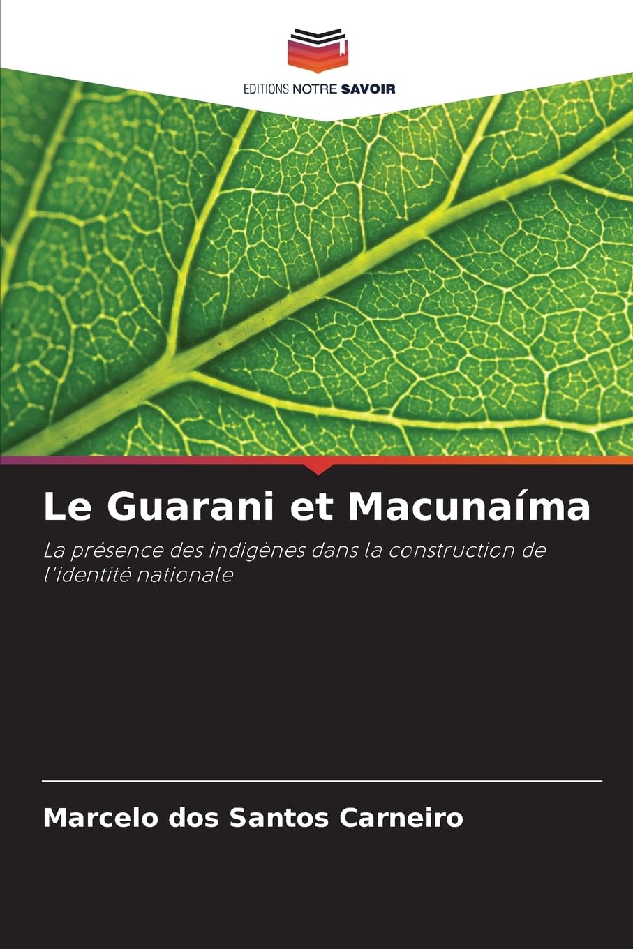 Le Guarani et Macunaíma: La présence des indigènes dans la construction de l'identité nationale.DE Books