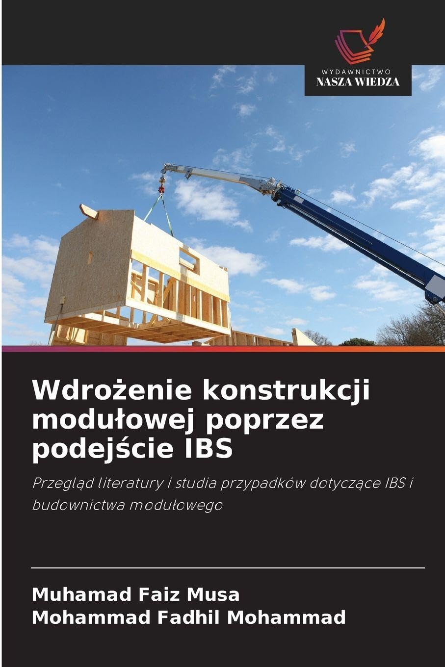Wdro¿enie konstrukcji modu¿owej poprzez podej¿cie IBS Business & Technology
