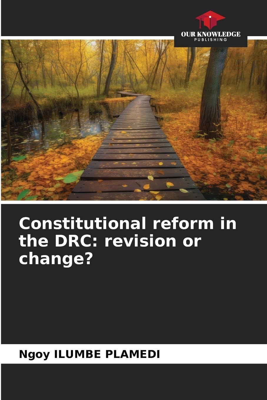 Constitutional reform in the DRC: revision or change? Law