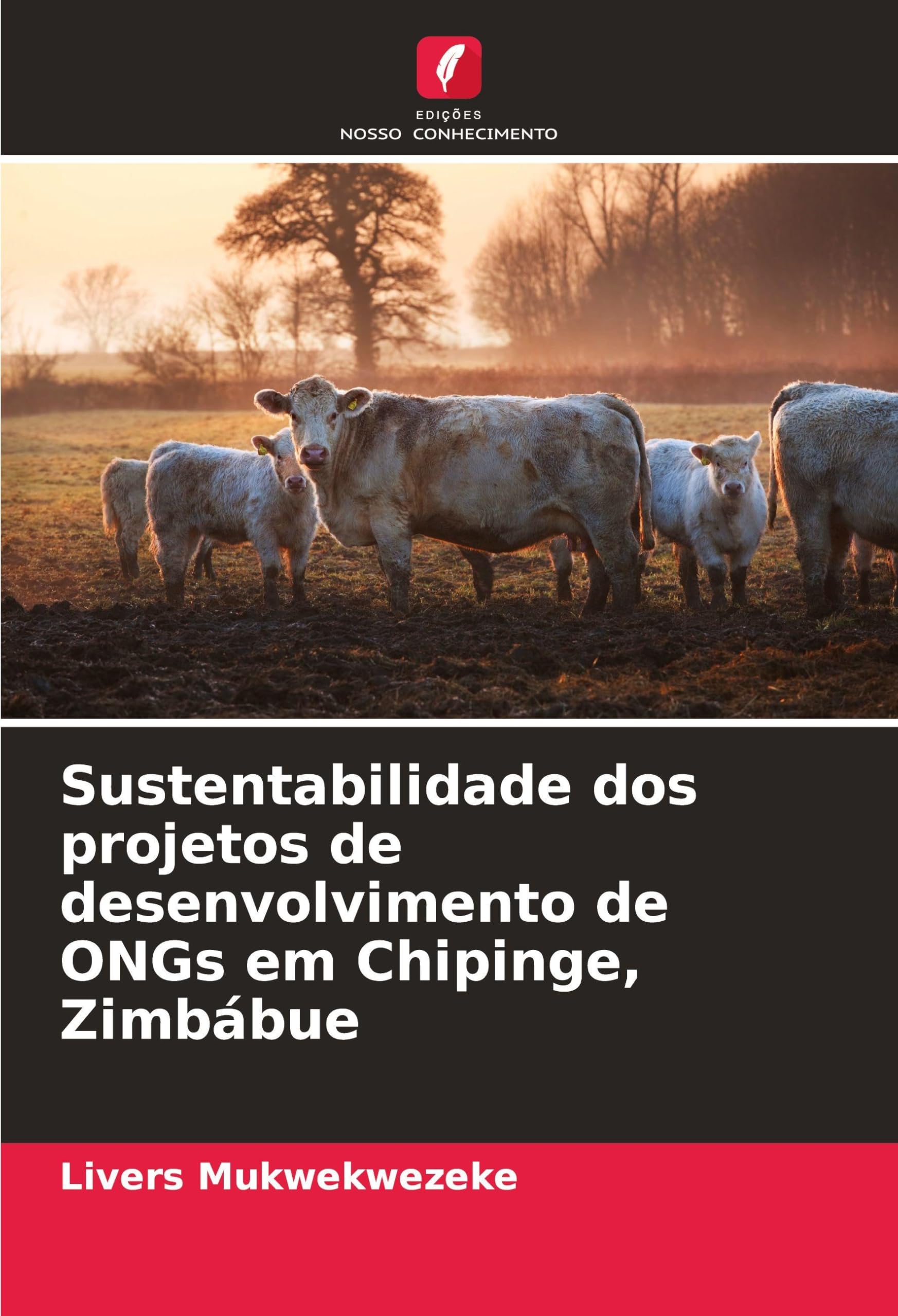 Sustentabilidade dos projetos de desenvolvimento de ONGs em Chipinge, Zimbábue Law