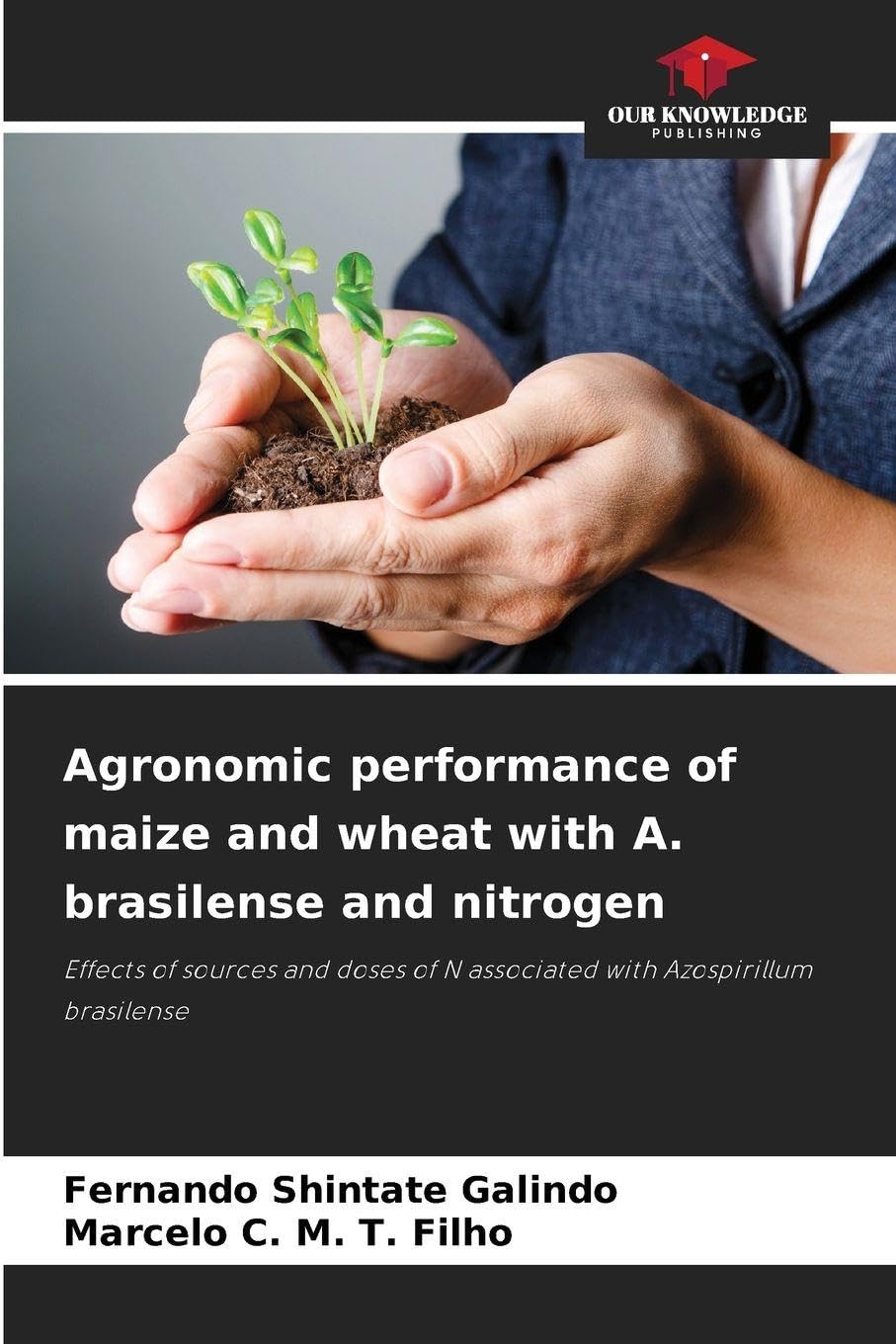 Agronomic performance of maize and wheat with A. brasilense and nitrogen Natural Sciences