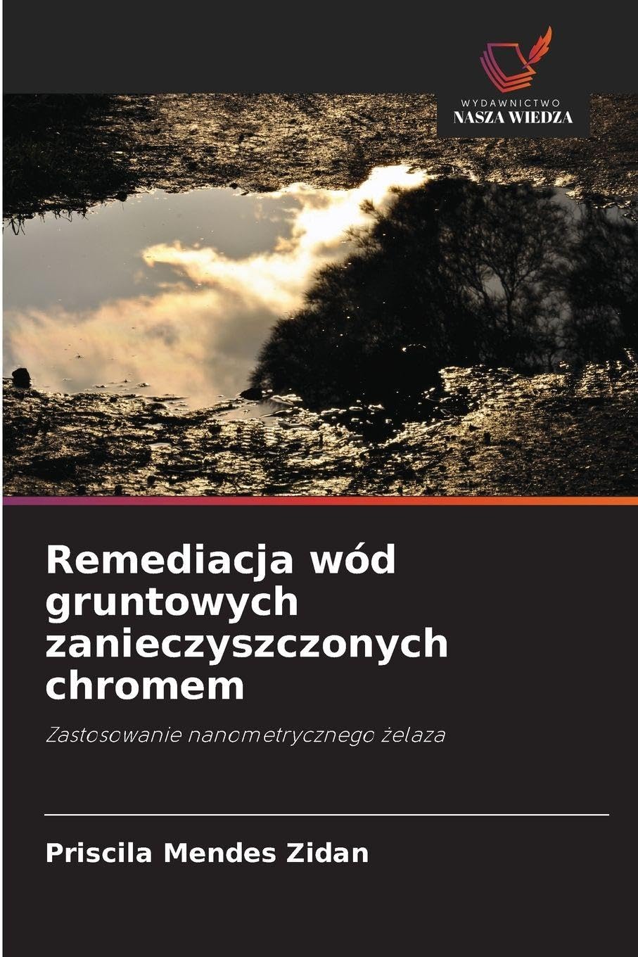 Remediacja wód gruntowych zanieczyszczonych chromem Business & Technology