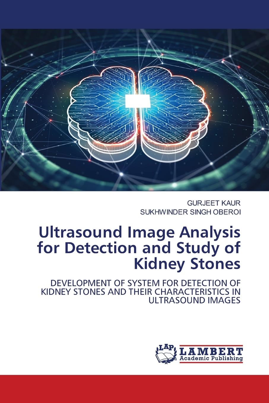 Ultrasound Image Analysis for Detection and Study of Kidney Stones Business & Technology