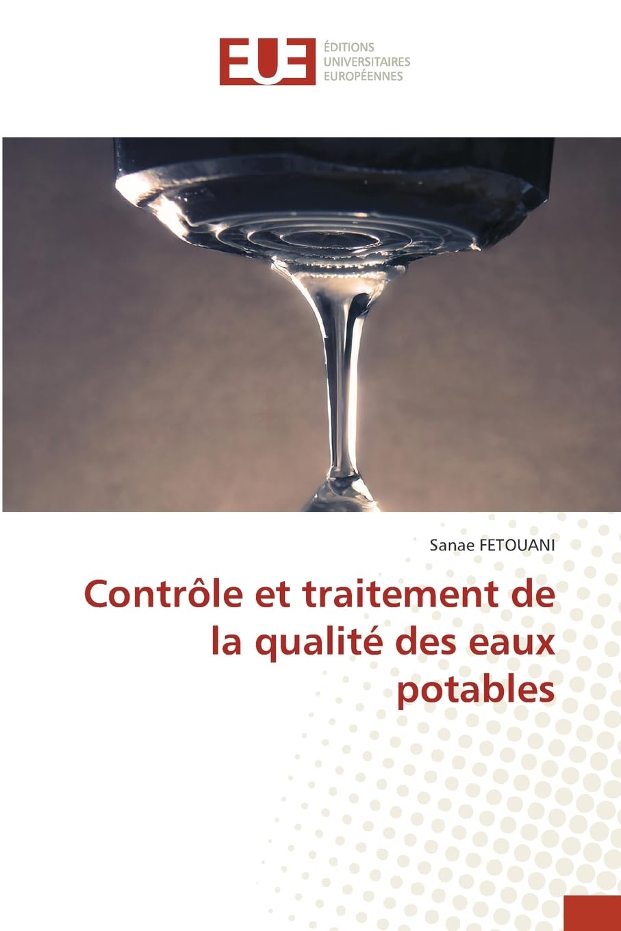 Contrôle et traitement de la qualité des eaux potables Natural Sciences
