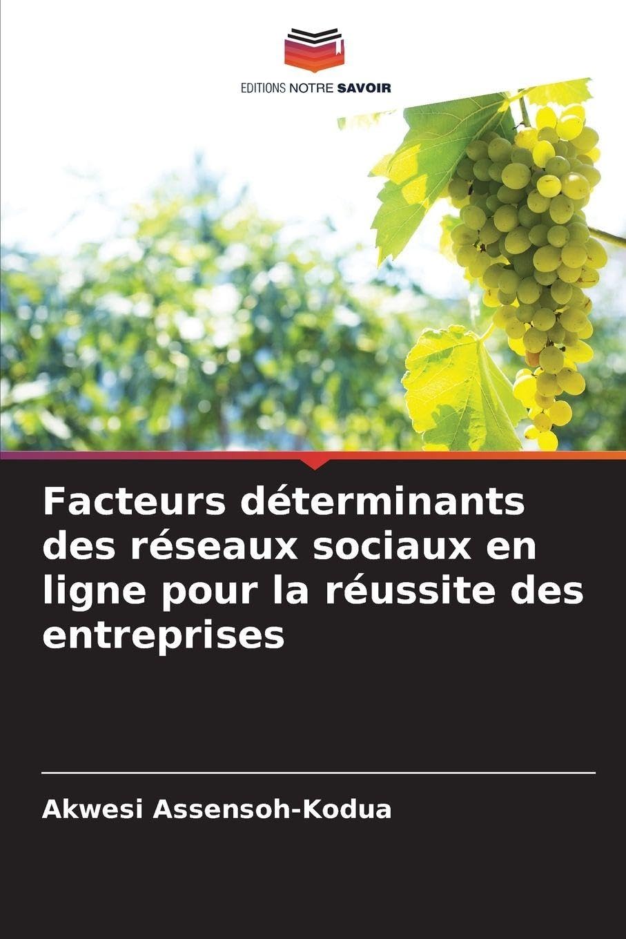 Facteurs déterminants des réseaux sociaux en ligne pour la réussite des entreprises Computer Science