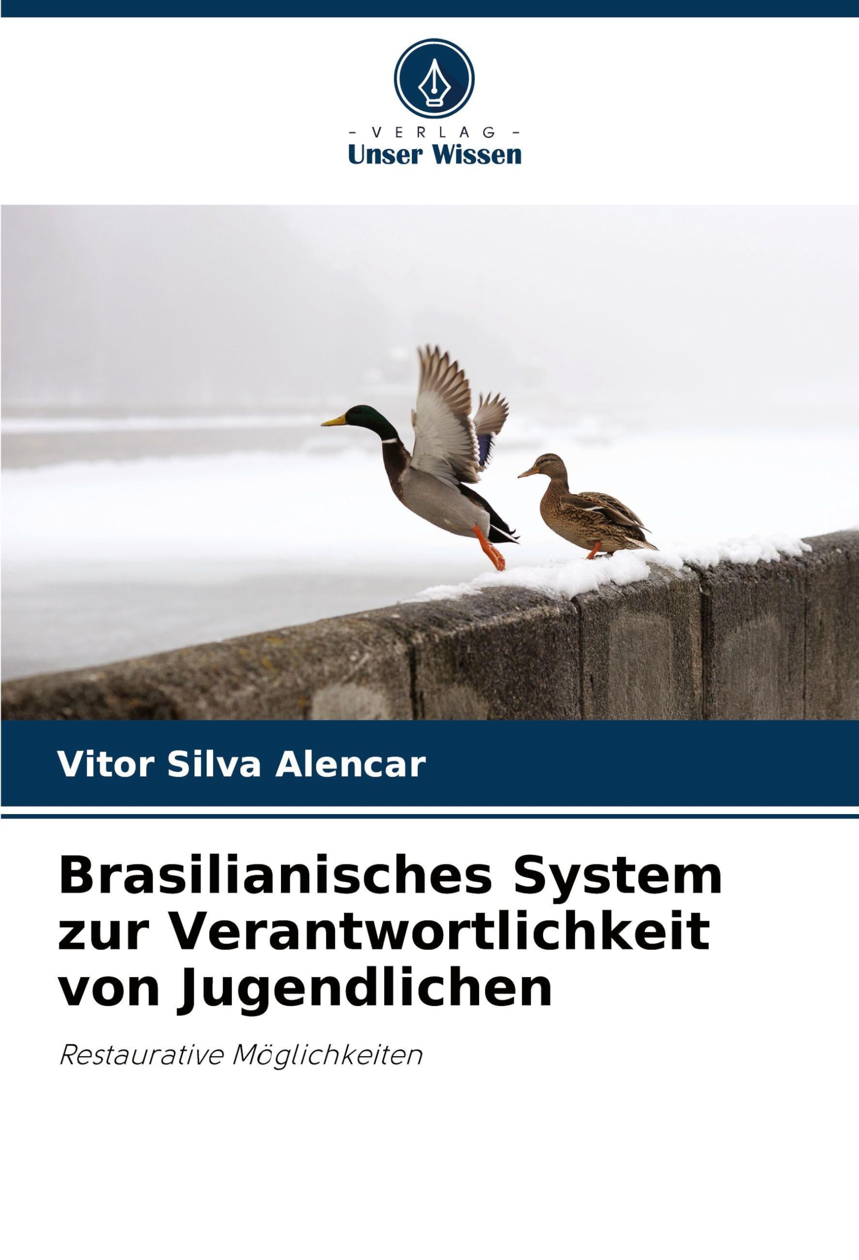 Brasilianisches System zur Verantwortlichkeit von Jugendlichen Law