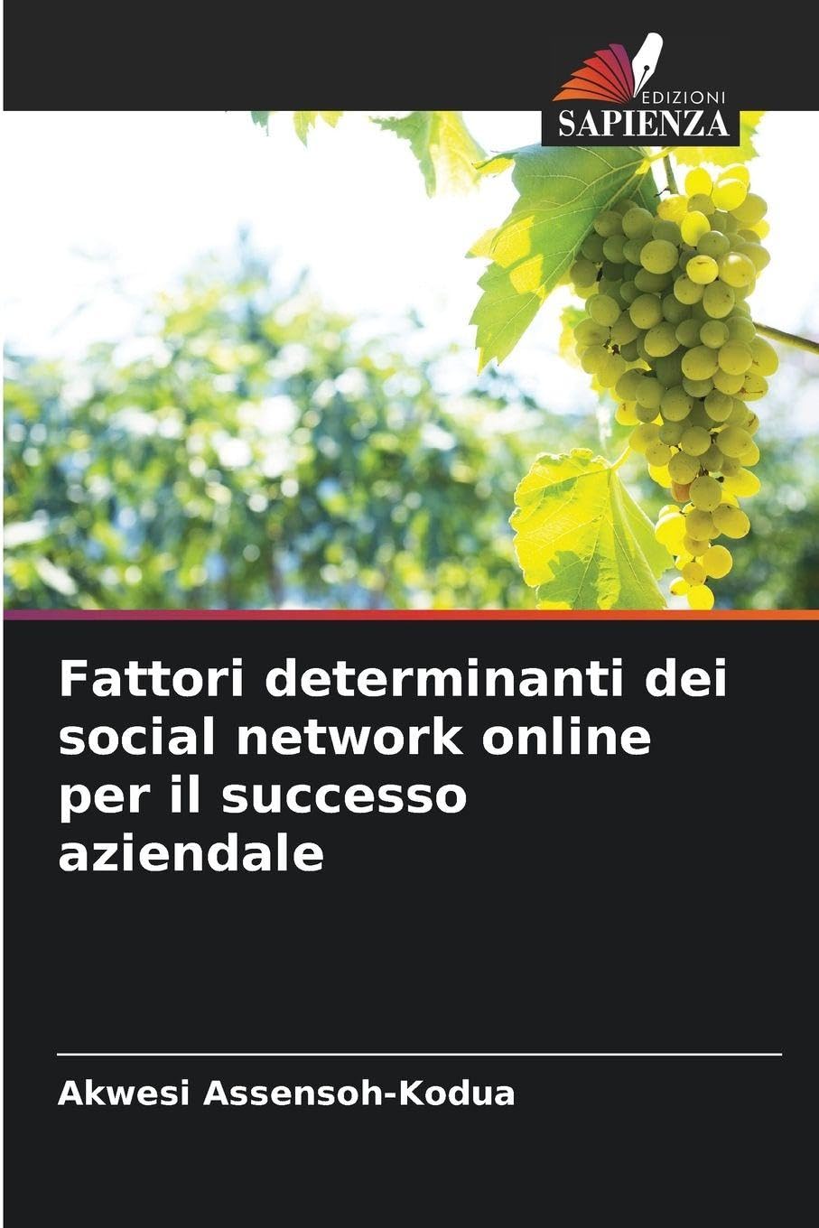 Fattori determinanti dei social network online per il successo aziendale Computer Science
