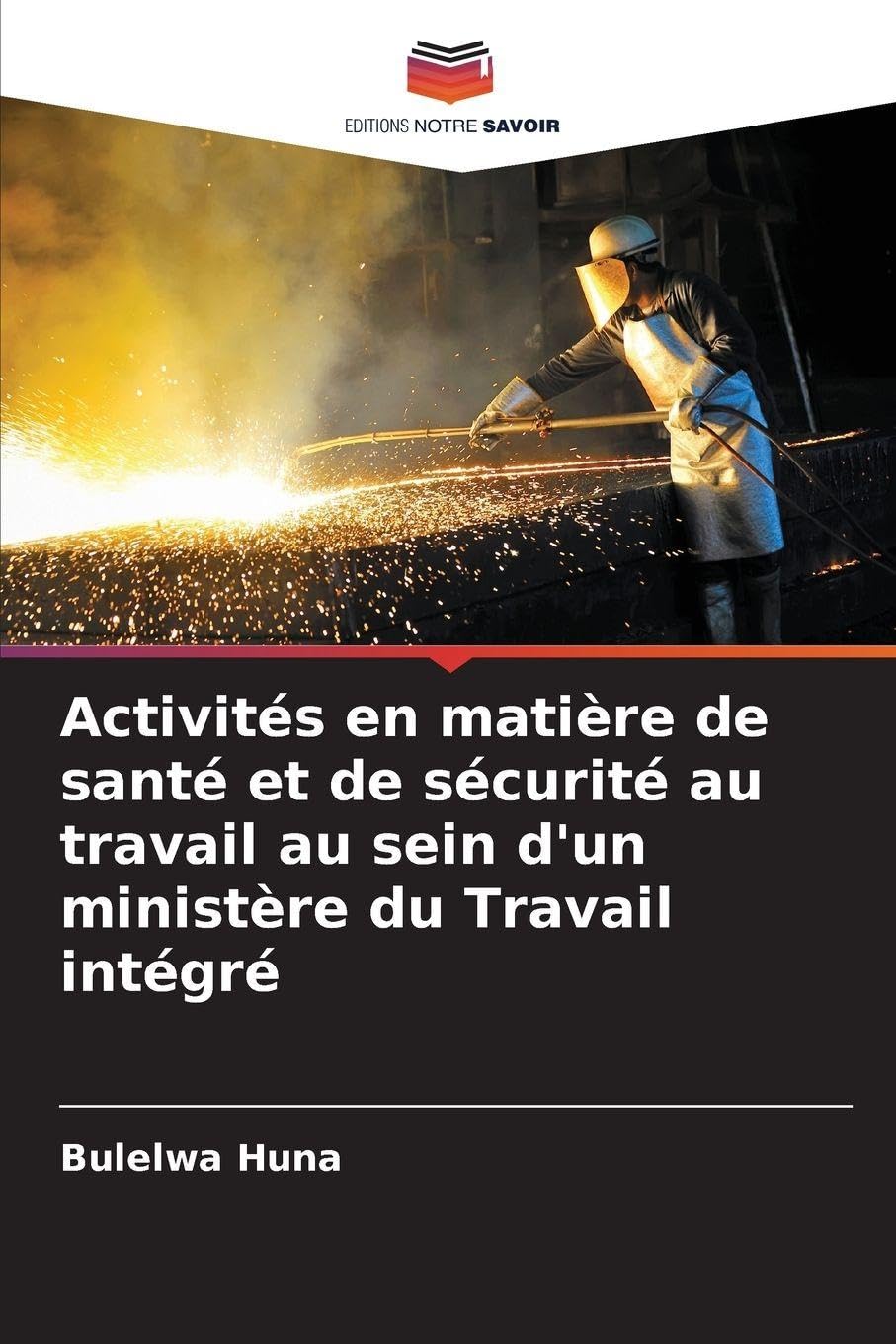 Activités en matière de santé et de sécurité au travail au sein d'un ministère du Travail intégré Books