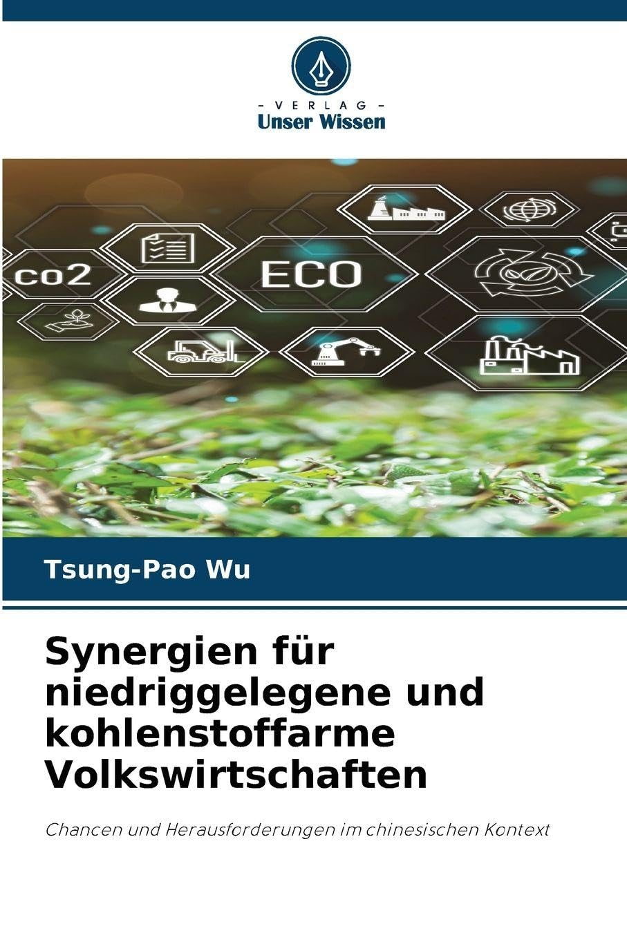 Synergien für niedriggelegene und kohlenstoffarme Volkswirtschaften Natural Sciences