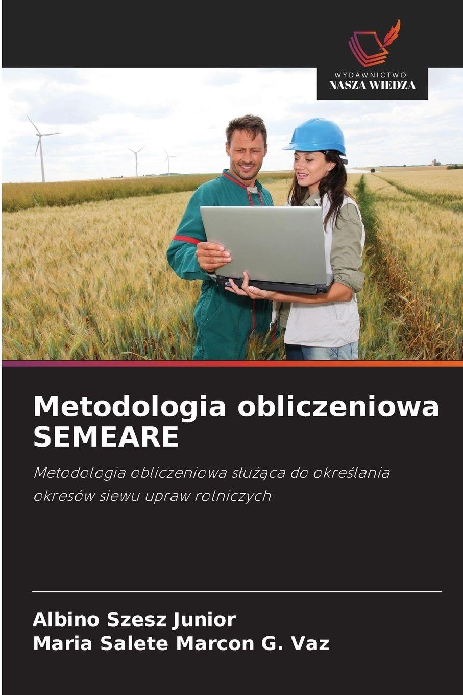 Metodologia obliczeniowa SEMEARE Law