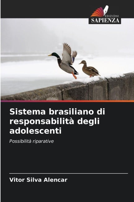 Sistema brasiliano di responsabilità degli adolescenti Law