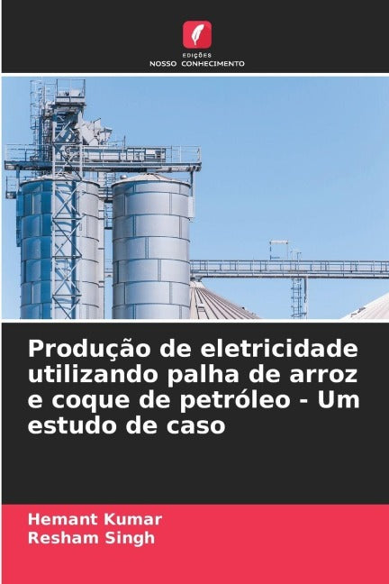 Produção de eletricidade utilizando palha de arroz e coque de petróleo - Um estudo de caso Business & Technology