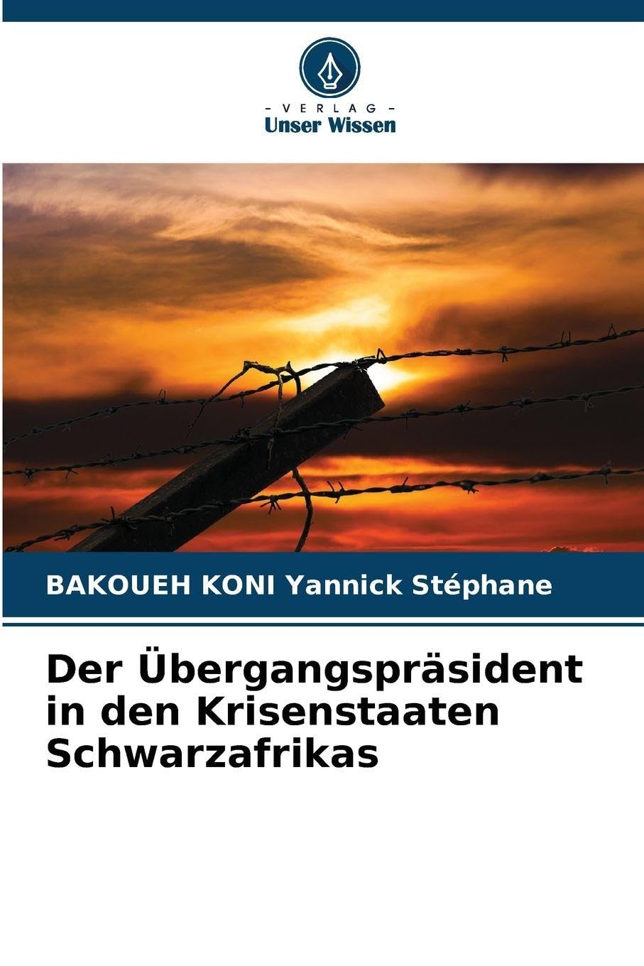 Der Übergangspräsident in den Krisenstaaten Schwarzafrikas Law