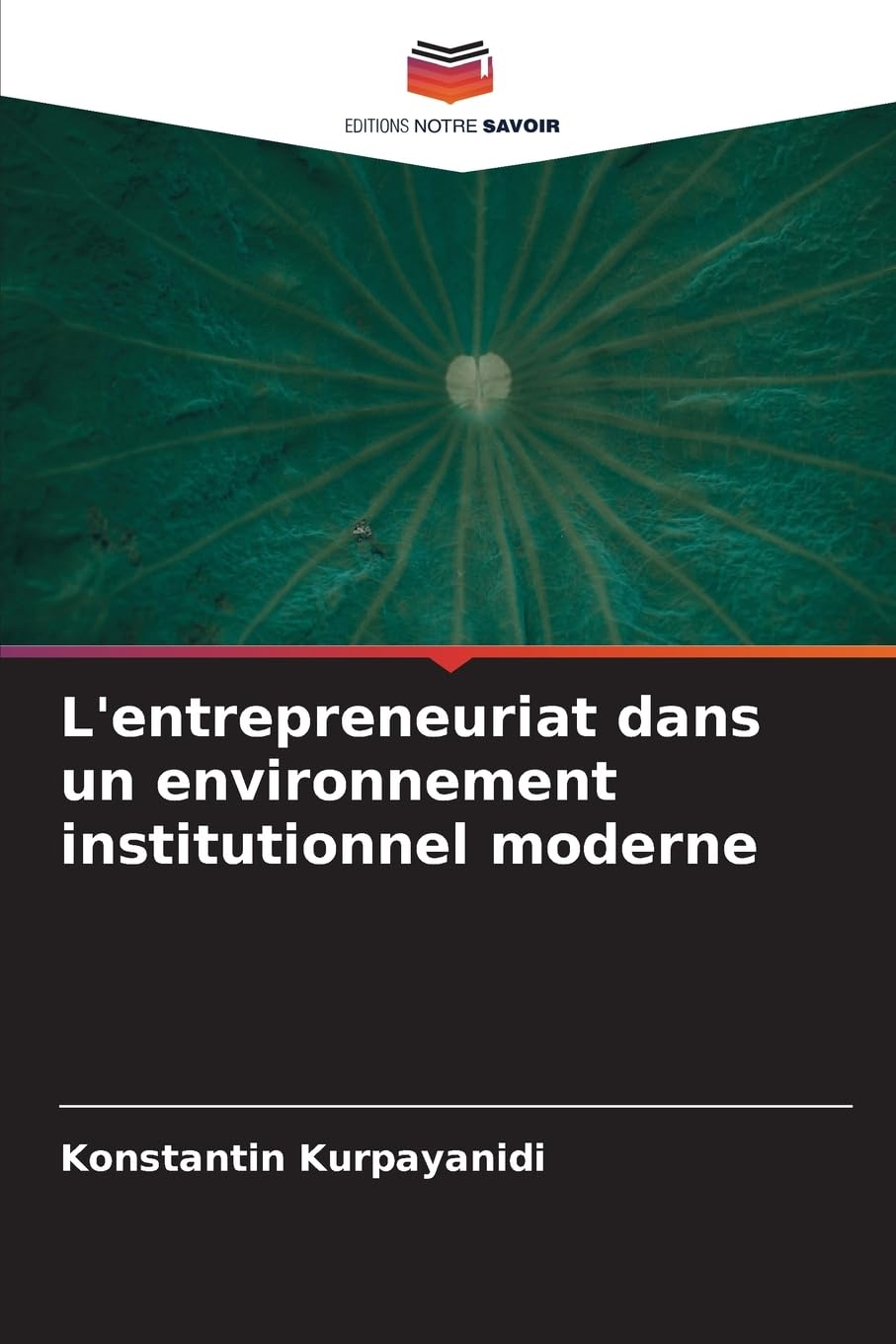 L'entrepreneuriat dans un environnement institutionnel moderne Law